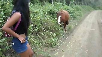 Thai Teen Peru To Ecuador Rides A Penis To A Creampie