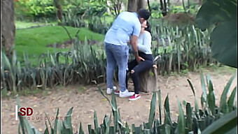 Voyeurism: Watching A Couple In A Public Park