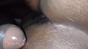 Bareback Masturbation With Hairy Cock And Pussy Fuck