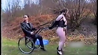 Ponygirls Beim Training Für Bdsm