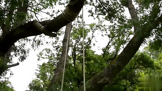 Zahradní Hra Přítelkyně S Velkými Přírodními Kozami