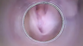 European Brunette'S Amateur Deep Vagina And Cervix On Camera