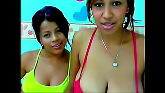 Pornografi Lesbian Brasil Hd Dengan Pantat Dan Kawat Gigi