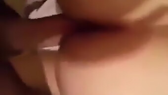 Big Cock In Action: Algerian Gay Video