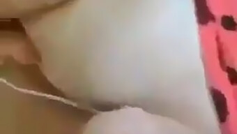 Tits Tits: Big-Breasted Arab Girl Solo