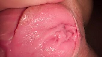 Real Amateur Masturbation: Tight Pussy And Orgasmic Climax